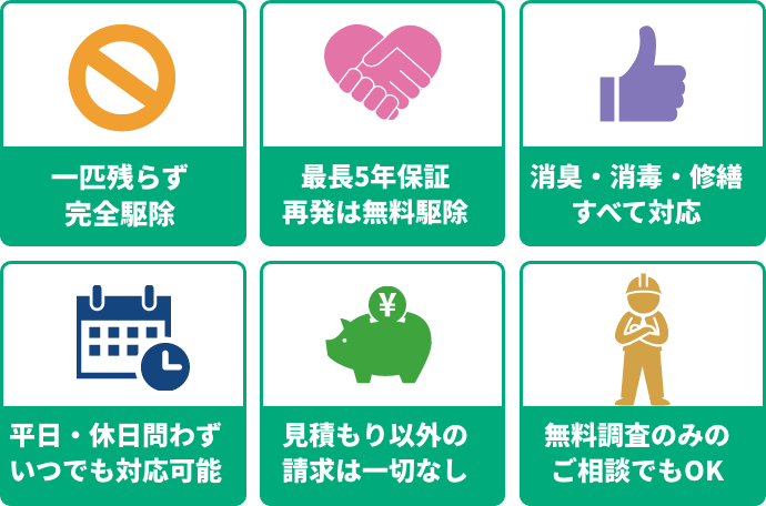 害獣駆除なら実績豊富なバーミンバスターズにお任せ下さい!