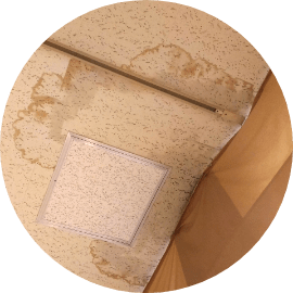 壁や天井に黒いシミがある異臭がする