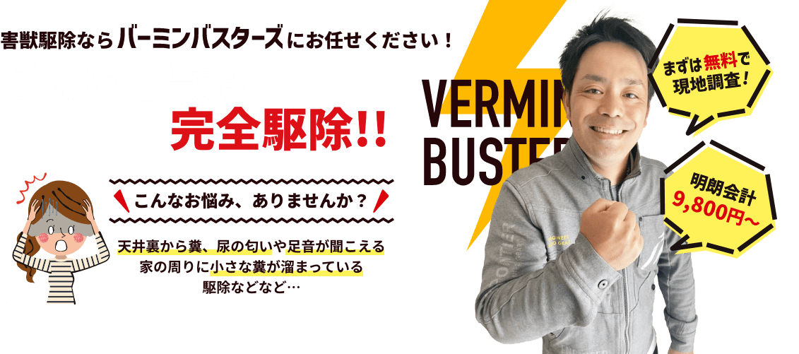 害獣駆除ならバーミンバスターズにお任せください！